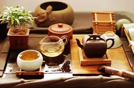 茶香四溢，女性养生之道